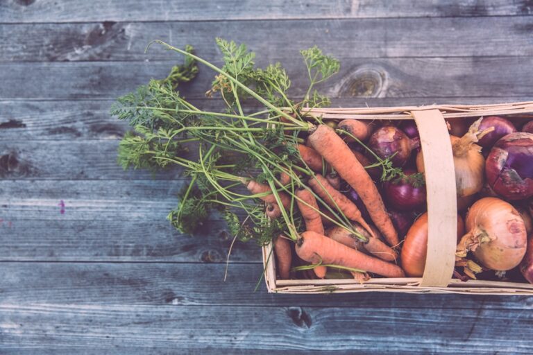From Garden to Pantry: Effective Methods for Preserving Your Fall Harvest